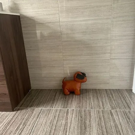 Сasa de vacaciones Carhan House -